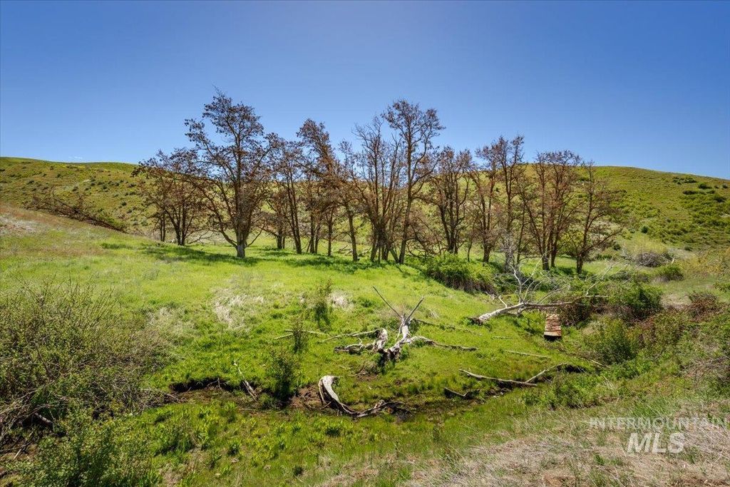 277 acres Timber Butte Rd, Sweet, ID 83670 photo 5