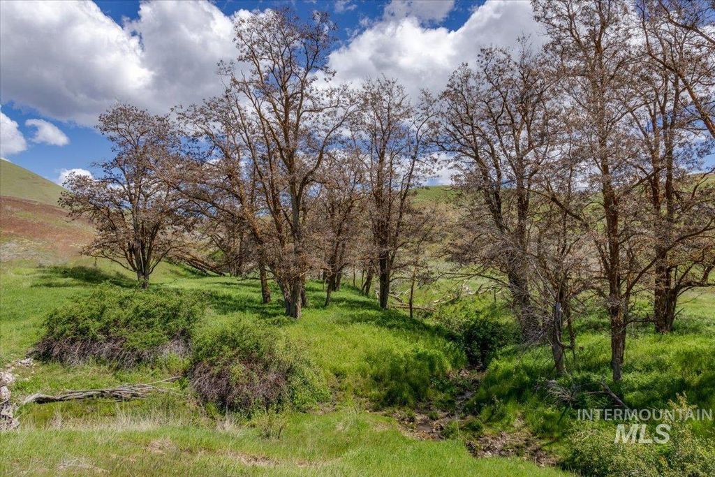 277 acres Timber Butte Rd, Sweet, ID 83670 photo 6