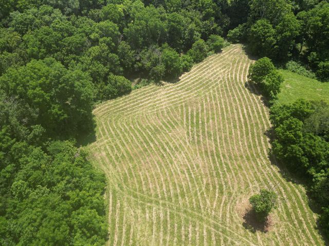 2790 Van Thompson Road, Mt Sterling, KY 40353