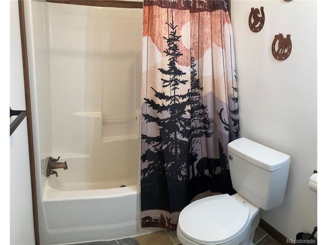 136 Black Knat Rd, Fairplay, CO 80440