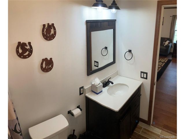 136 Black Knat Rd, Fairplay, CO 80440