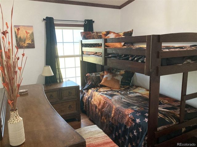 136 Black Knat Rd, Fairplay, CO 80440