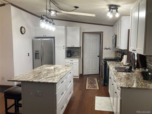 136 Black Knat Rd, Fairplay, CO 80440