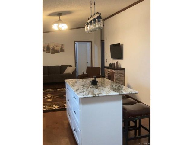 136 Black Knat Rd, Fairplay, CO 80440