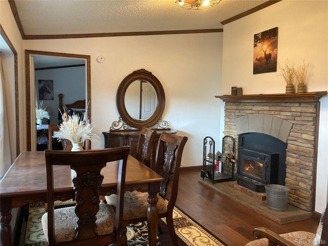 136 Black Knat Rd, Fairplay, CO 80440