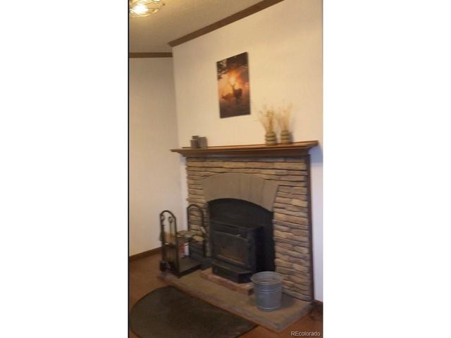 136 Black Knat Rd, Fairplay, CO 80440