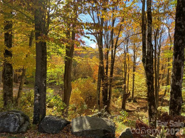 87 Ali Avenue, Bakersville, NC 28705