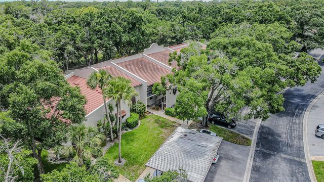 3505 TARPON WOODS BOULEVARD G405, Palm Harbor, FL 34685