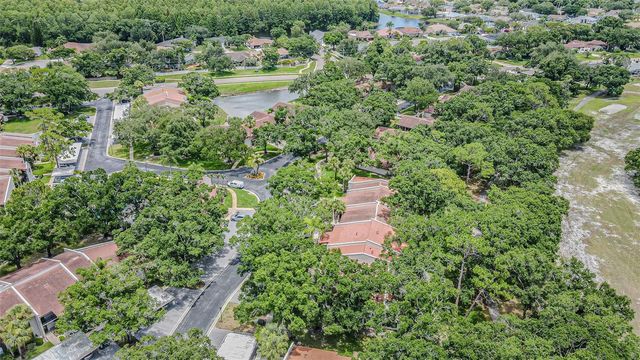 3505 TARPON WOODS BOULEVARD G405, Palm Harbor, FL 34685