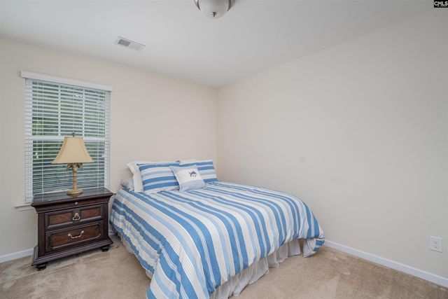 509 Slices Way, Chapin, SC 29036