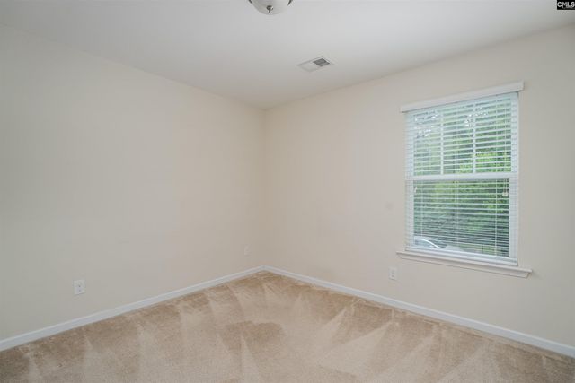 509 Slices Way, Chapin, SC 29036