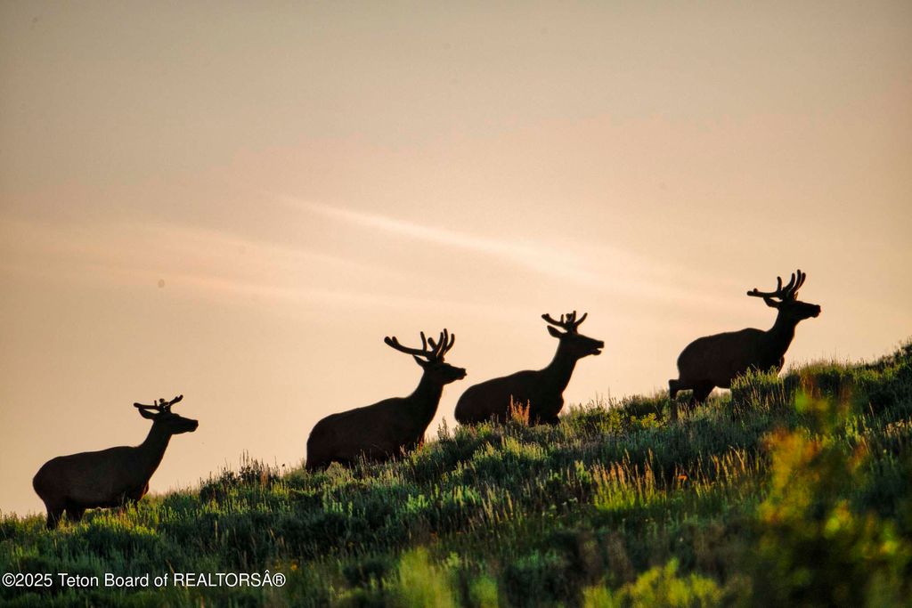 3000 N RIVA RIDGE Road, Jackson, WY 83001 photo 53
