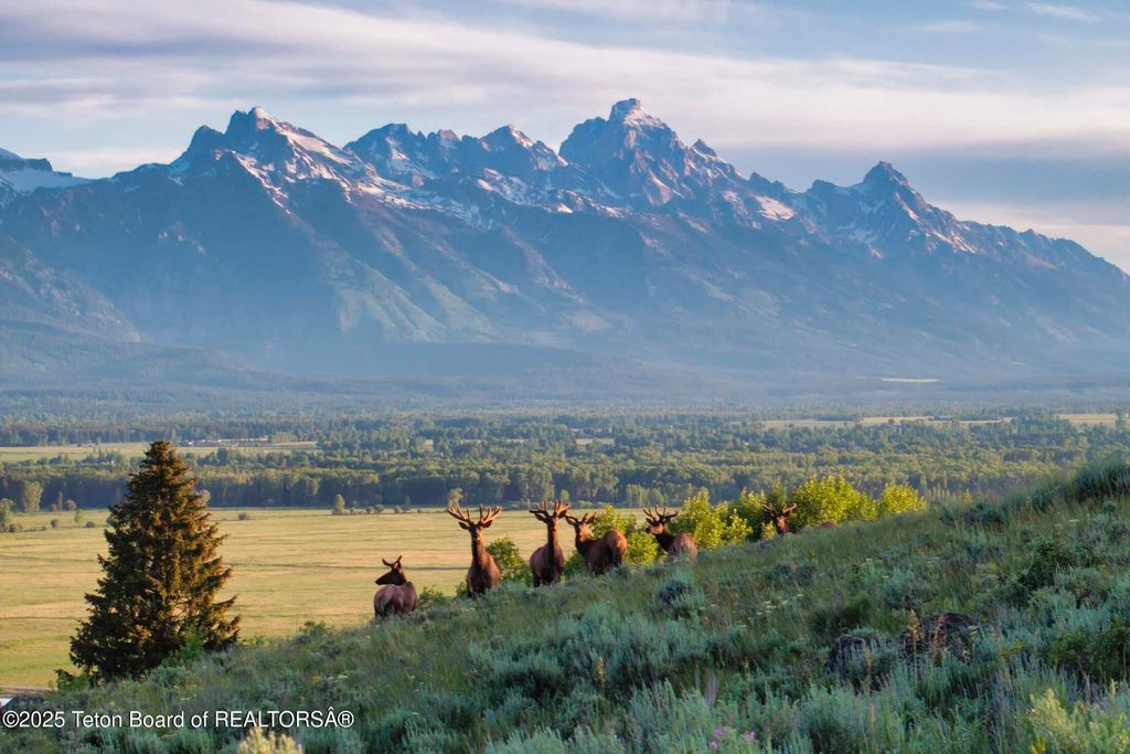 3000 N RIVA RIDGE Road, Jackson, WY 83001 photo 9