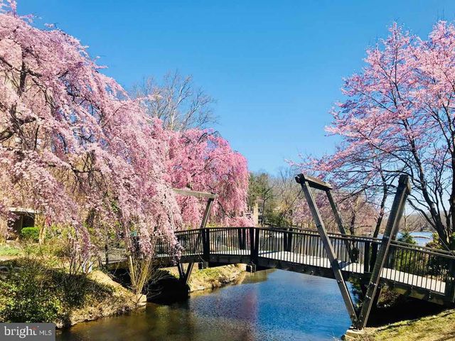11545 MAPLE RIDGE RD, Reston, VA 20190