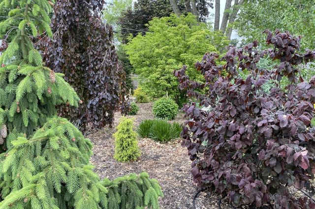 25 Eastman Street, Nashua, NH 03060
