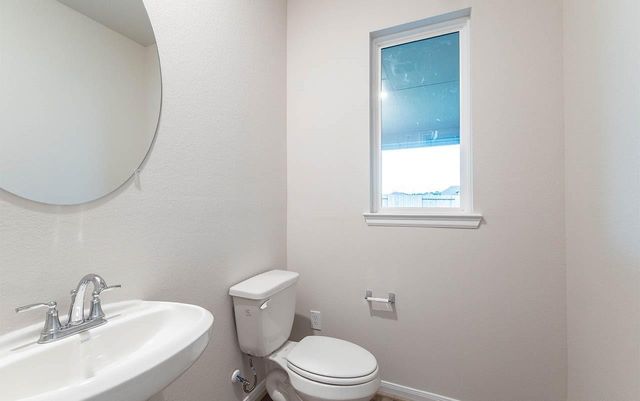 19014 Blossoming Buttercup Drive, Tomball, TX 77377