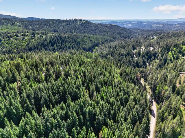 19202 E Elliot Rd, Mead, WA 99021