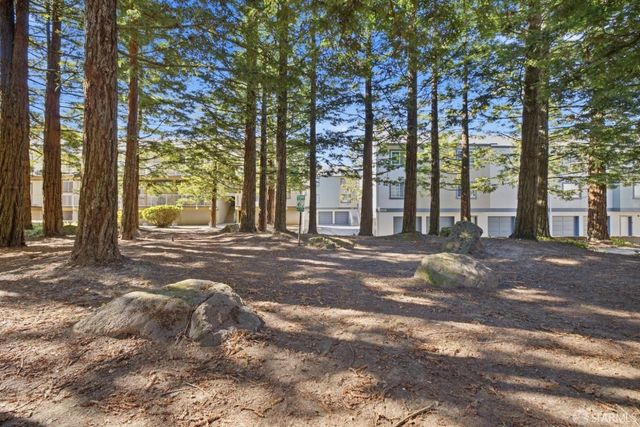 1016 San Gabriel Circle 429, Daly City, CA 94014
