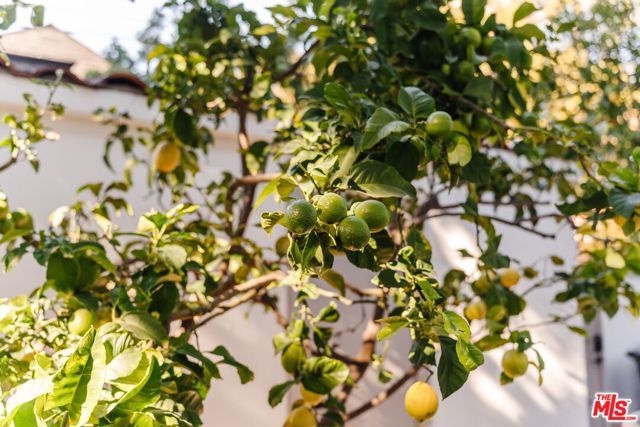 2027 Canyon Drive, Los Angeles, CA 90068