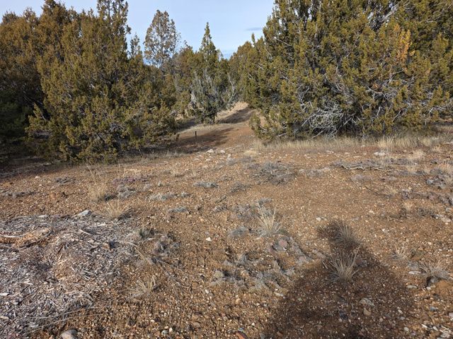 33385 N 9320 E, Indianola, UT 84629