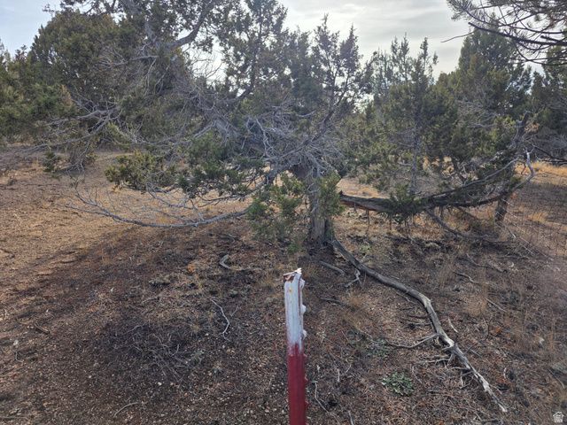 33385 N 9320 E, Indianola, UT 84629