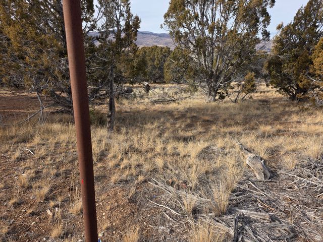 33385 N 9320 E, Indianola, UT 84629