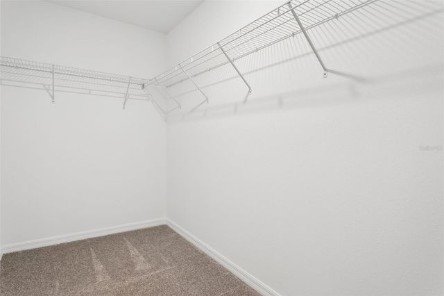 11000 RADIANT SHORE LOOP, San Antonio, FL 33576