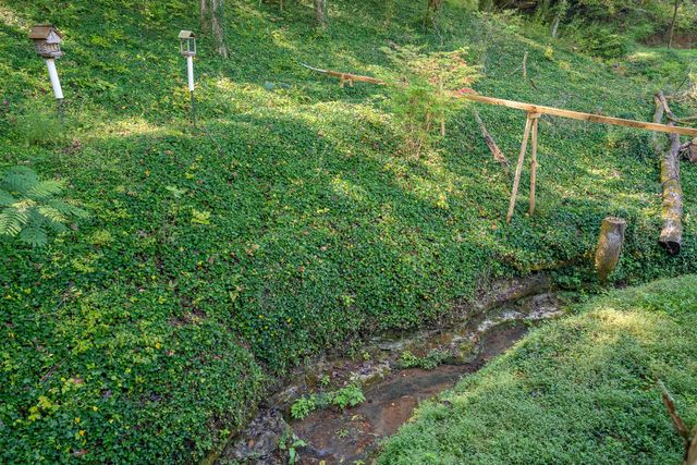 1491 Cates Rd, Lawrenceburg, TN 38464