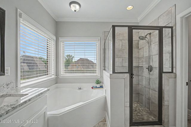 3635 Williams Brooke Lane, Hernando, MS 38632