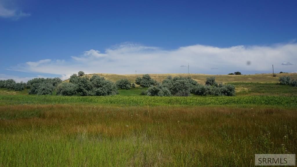 Image 14 of property listing at Address unavailable.