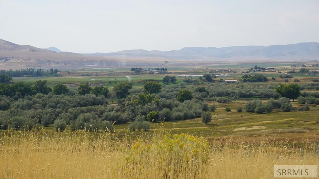 Image 16 of property listing at Address unavailable.