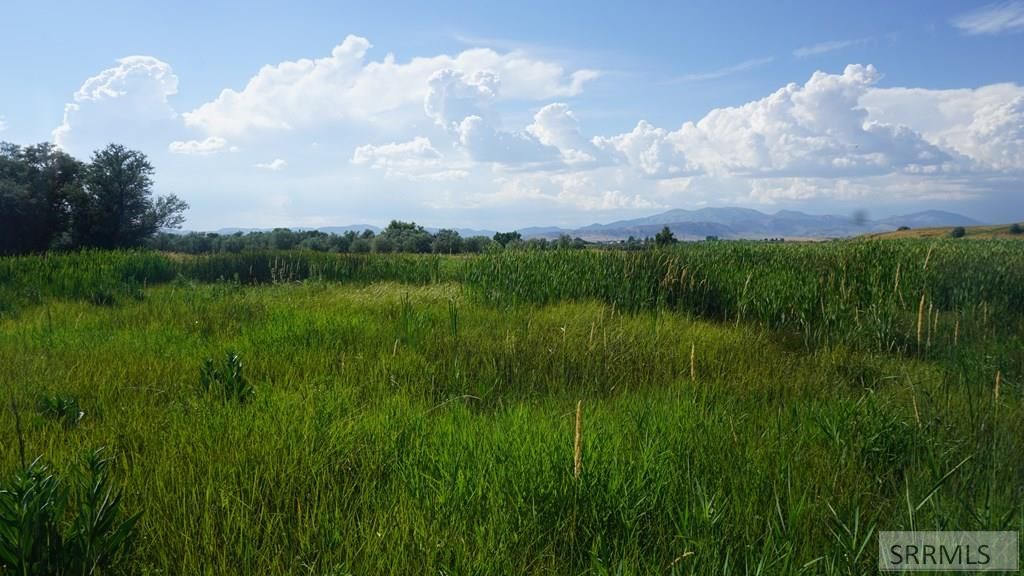 Image 5 of property listing at Address unavailable.