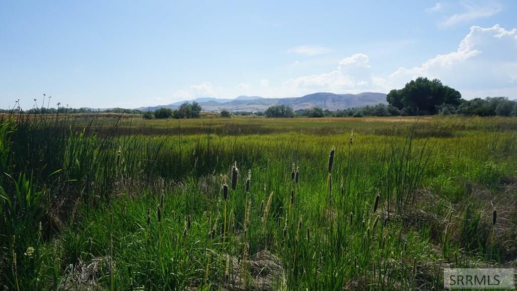 Image 7 of property listing at Address unavailable.