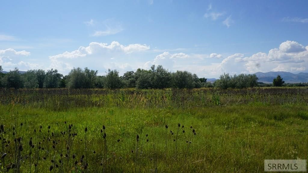 Image 8 of property listing at Address unavailable.