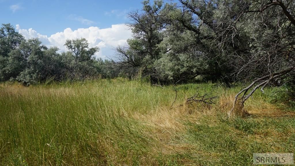 Image 9 of property listing at Address unavailable.