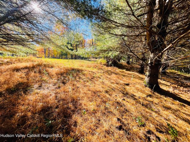 679 Vly Road, Stone Ridge, NY 12484