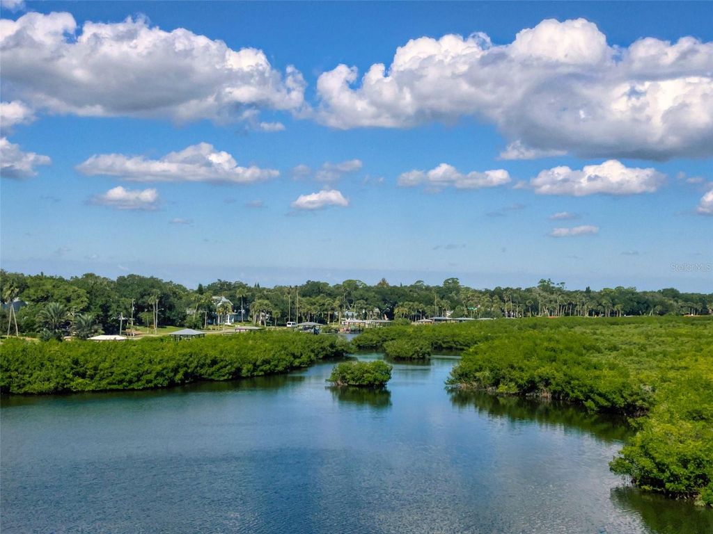 Image 49 of property listing at 5 RIVERWALK DRIVE 503, New Smyrna Beach, FL 32169