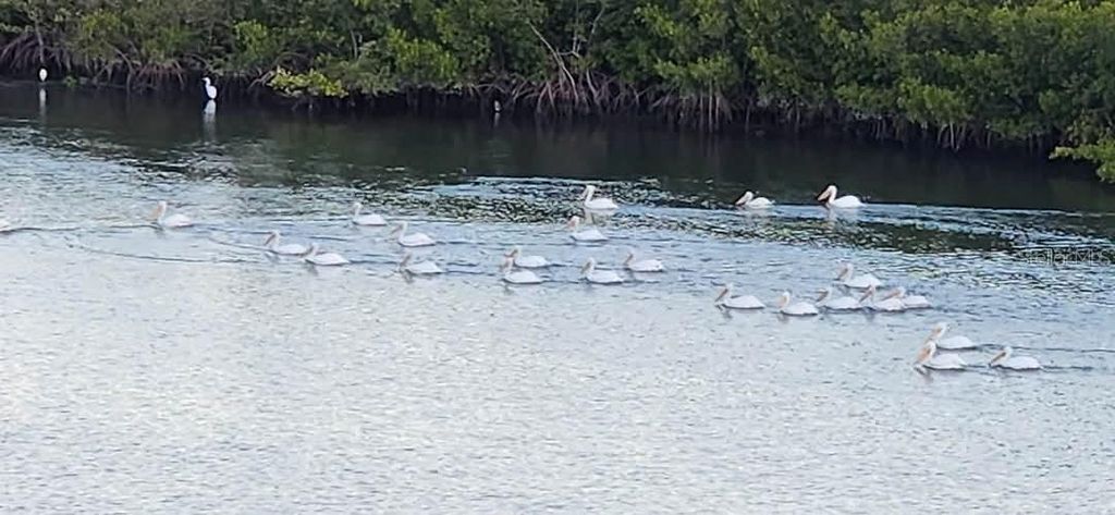 Image 51 of property listing at 5 RIVERWALK DRIVE 503, New Smyrna Beach, FL 32169