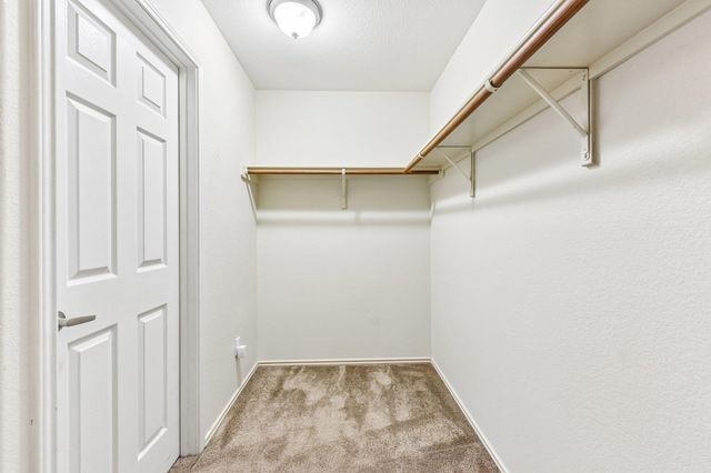 13309 Prairie Sage CV, Manor, TX 78653