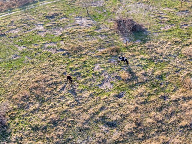 3175 County Road 1110, Corsicana, TX 75110