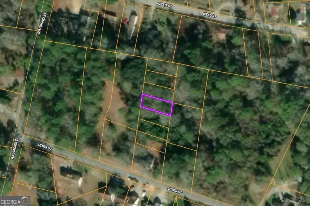 0 Lewis Street, Statesboro, GA 30458