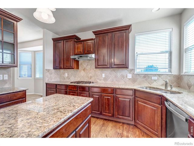 17016 Pale Anemone Street, Parker, CO 80134