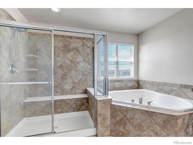 17016 Pale Anemone Street, Parker, CO 80134