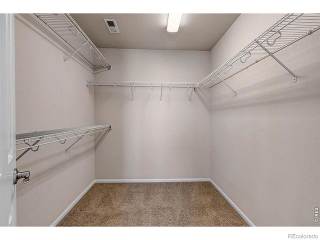 17016 Pale Anemone Street, Parker, CO 80134