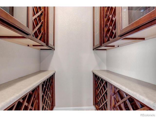 17016 Pale Anemone Street, Parker, CO 80134