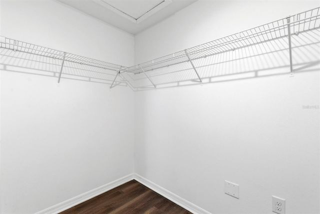 16948 STORYLINE DR, Land O Lakes, FL 34638