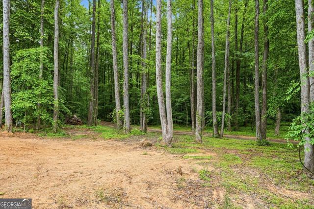 580A Eagles Perch Road, Ball Ground, GA 30107