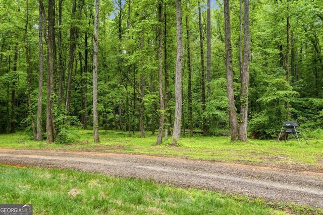 580A Eagles Perch Road, Ball Ground, GA 30107