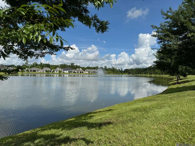 13738 Wild Canary Dr, Baton Rouge, LA 70810