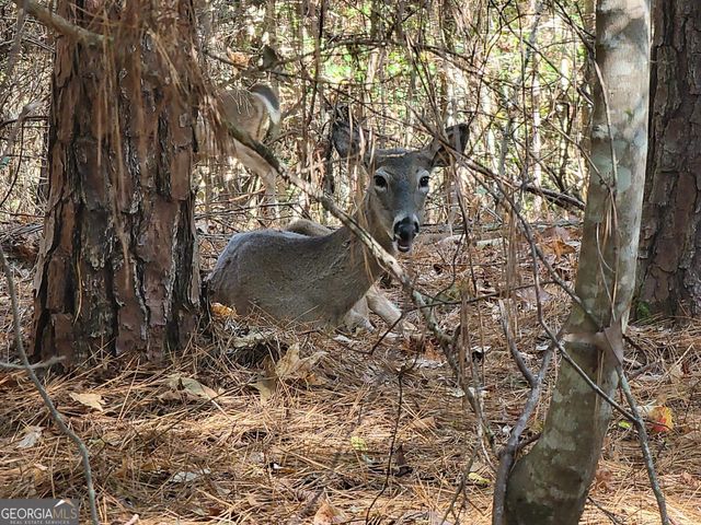 1730 Campbell Road, Covington, GA 30014